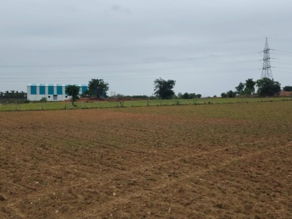 2 Acre 23 Gunta Red Soil Agricultural Land for Sale in Pebbair Mandal, Wanaparthy District, Telangana | ₹46 Lakhs | 8 Months canal water |BHOOVIX BX-28008 agriculture land for sale