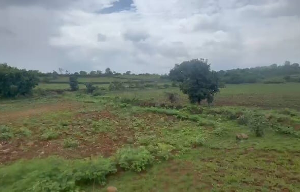 32 Acres Red Soil Agricultural Land for Sale in Basavakalyan, Bidar District, Karnataka | ₹7.5 Lakhs Per Acre | BHOOVIX BX-27703 agriculture land for sale