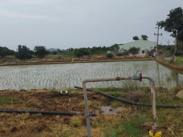 3 Acre 1 Gunta Red Soil Agricultural Land for Sale in Pebbair Mandal, Wanaparthy District, Telangana | ₹24 Lakhs/Acre | Bore well | BHOOVIX BX-27999 agriculture land for sale