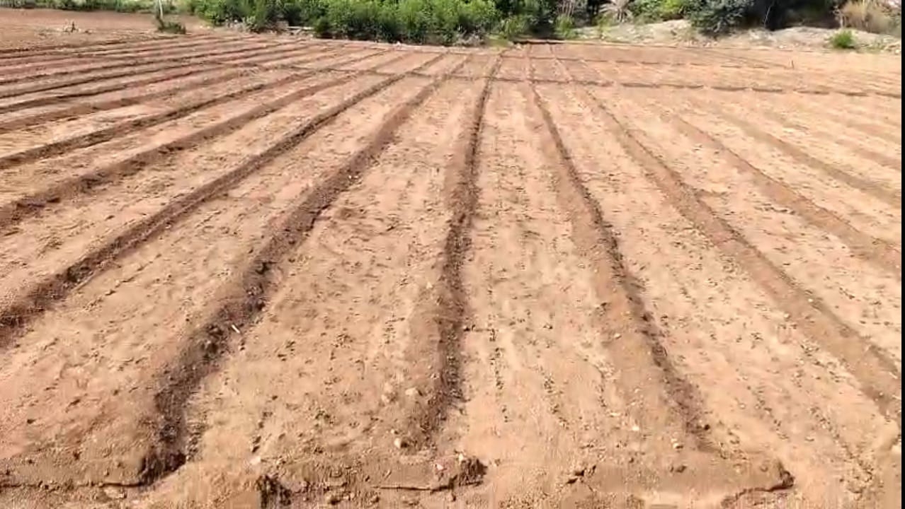 "2.50 Acres Verified Red Soil Agricultural Land for Sale BX27742"