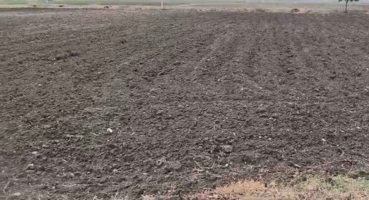 Agriculture Land For Sale In Adoni