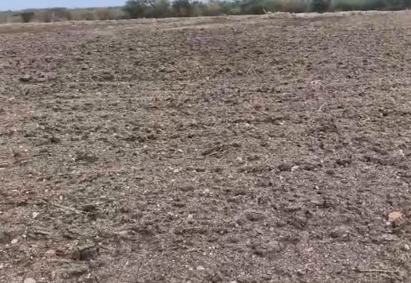 4.80 Acres Black Soil Agricultural Land for Sale in Halaharvi Mandal, Kurnool District, Andhra Pradesh | ₹11 Lakhs Per Acre | BHOOVIX BX-27757 agriculture land for sale