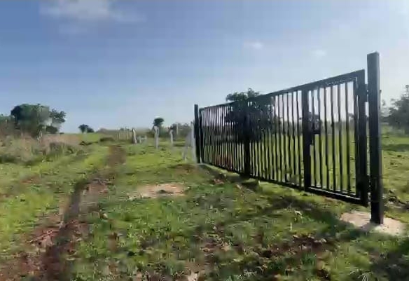 1 Acre 20 Guntas Pure Black Soil Agricultural Land for Sale in Sangareddy District, Telangana| ₹18 Lakhs per Acre | BHOOVIX BX-27979 agriculture land for sale