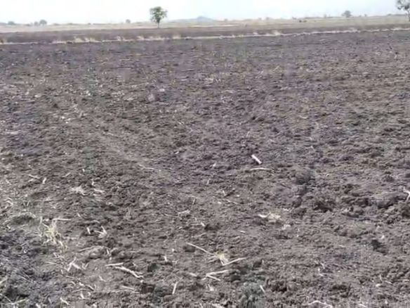 ₹5 Lakhs/Acre | 20 Acres Black Soil Agricultural Land for Sale in Chippagiri Mandal, Kurnool District, Andhra pradesh | BHOOVIX BX-28027 agriculture land for sale