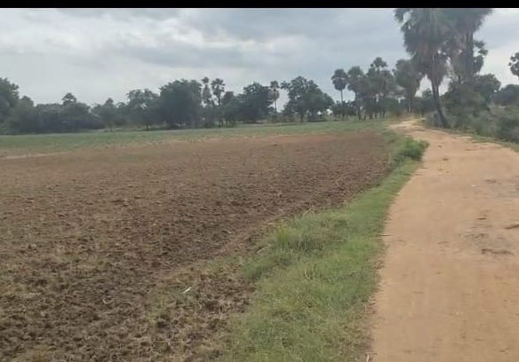 ₹10 Lakhs Per Acre | 3.70 Acres Red Soil Agricultural Land for Sale in Kurnool District, Andhra Pradesh | BHOOVIX BX-27460 agriculture land for sale