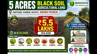 5.50 Lakh per acres,5 Acres Black Soil Agricultural Land for Sale in Kurnool, Andhra Pradesh – Canal & Vanka Water | BX-25995 agriculture land for sale