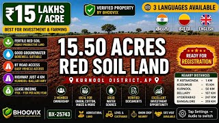 15.50 Acres Verified Red Soil Agricultural Land for Sale in kurnool district, AP | ₹15 Lakhs Per Acre | BHOOVIX BX-25743 agriculture land for sale