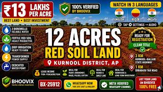 🌾12 Acres Verified Red Soil Agricultural Land for Sale in Kurnool District, Andhra Pradesh | ₹13 Lakhs Per Acre | BHOOVIX BX-25912 agriculture land for sale