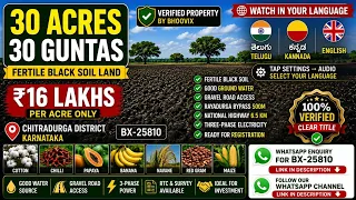 🌾 30 Acres 30 Guntas Verified Black Soil Agricultural Land for Sale in Chitradurga (D), Karnataka | ₹16 Lakhs per Acre | BHOOVIX BX-25810 agriculture land for sale