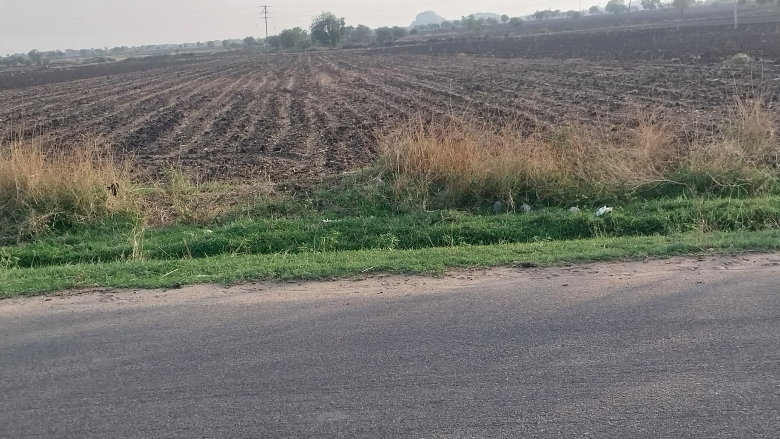 2.50 Acres Black Soil