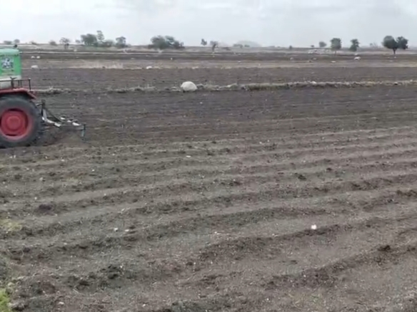 agriculture land for sale