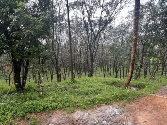 4 Acres Red Soil