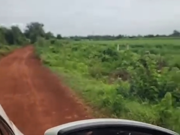Agriculture Land for Sale in Zaheerabad Sangareddy