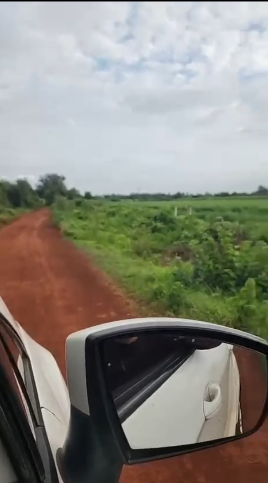 Agriculture Land for Sale in Zaheerabad Sangareddy