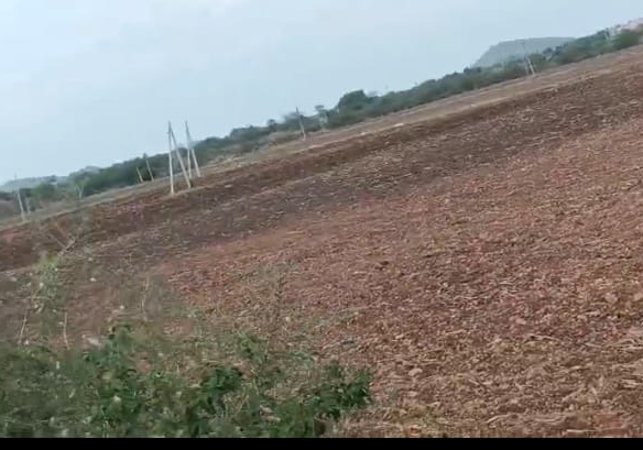 45 Acres Agricultural Land for Sale in Kurichedu Mandal, Prakasam District, AP | ₹11 Lakhs per Acre | BHOOVIX BX-28382 agriculture land for sale