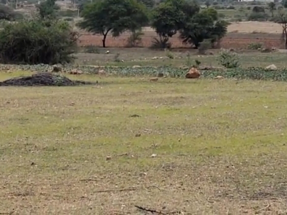 ₹8 Lakhs/Acre | 3.50 Acres Red Soil Agricultural Land for sale in krishnagiri Mandal, Kurnool District, Andhar Pradesh | BHOOVIX BX-28390 agriculture land for sale