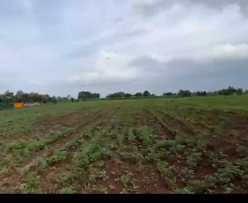 1 Acre Red Soil Agricultural Land for Sale – Sangareddy District, Telangana | BT Road to 500m | ₹60Lakh per Acre | BHOOVIX BX-28404 agriculture land for sale