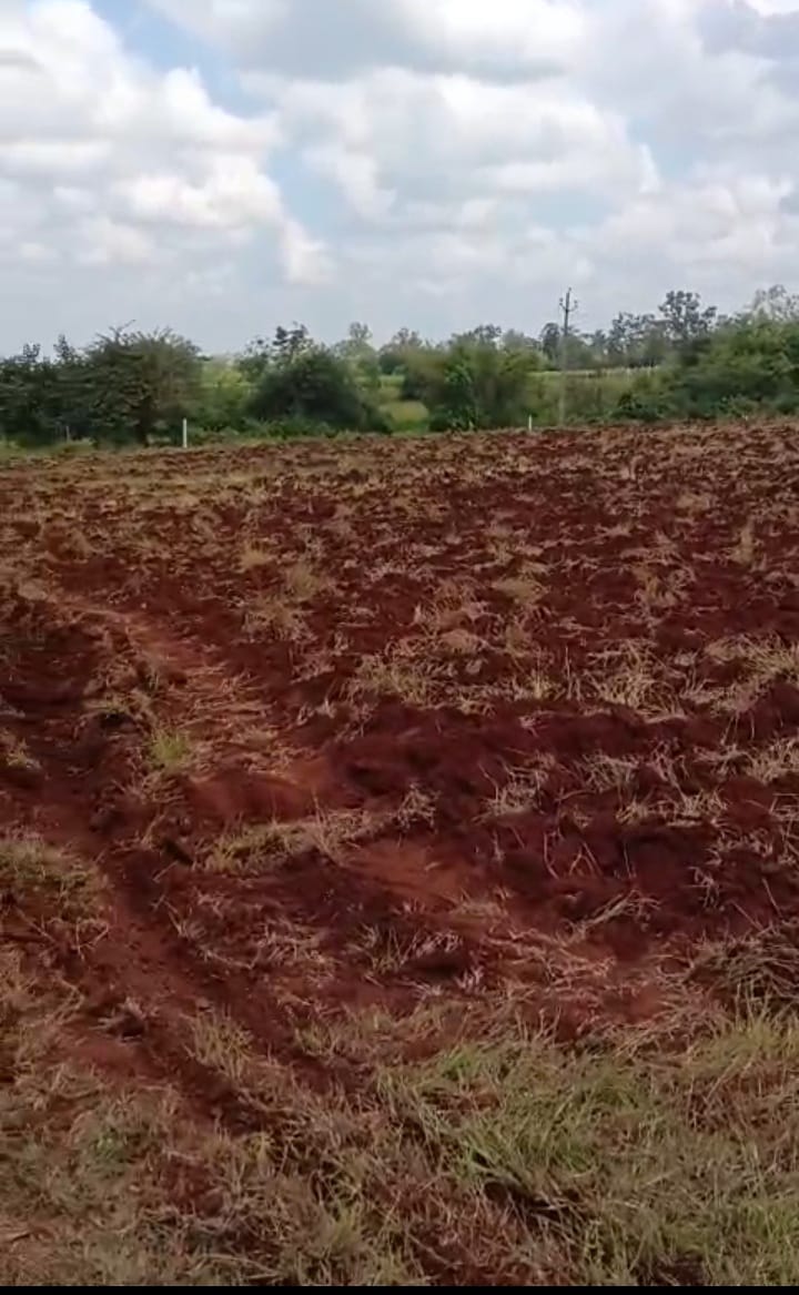 Agriculture Land For Sale In Wanaparthy