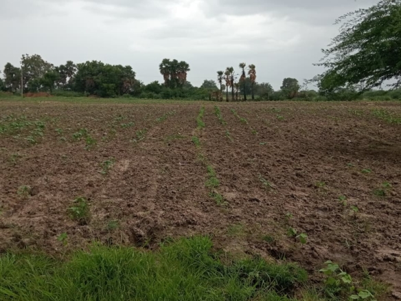 4 acres 20 guntas