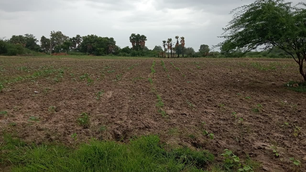 4 acres 20 guntas