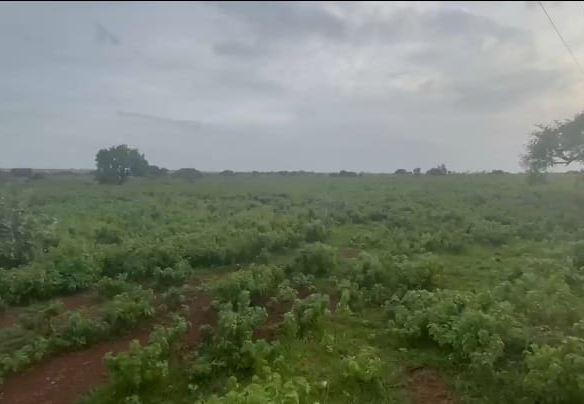 10 acres