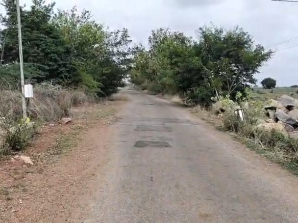 4 Acres Red Soil Canal Land