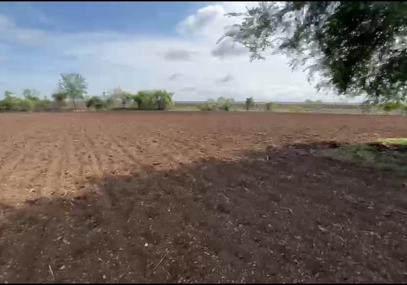 11 Acres 35 Guntas Black soil