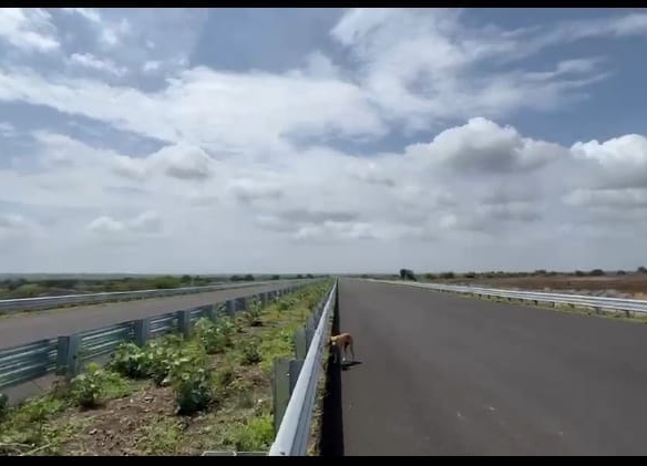 9 acres Black Soil Land for Sale in Kalaburagi district, Karnataka | 6 Lane surat chennai Highway | ₹14 Lakh Per Acre | BHOOVIX BX-28640 agriculture land for sale