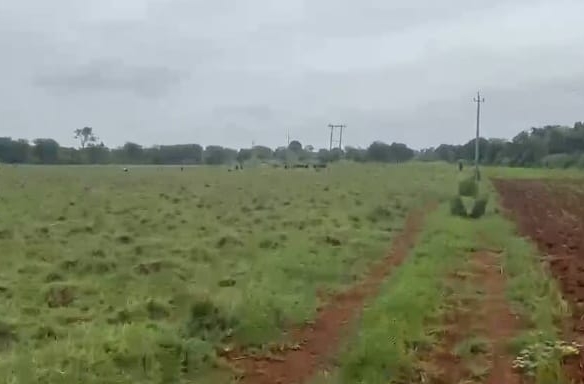 10 Acres Red Soil Land