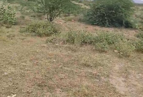 7 Lakhs per Acre