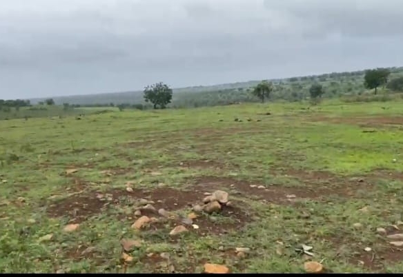 40 Acres Agricultural Land