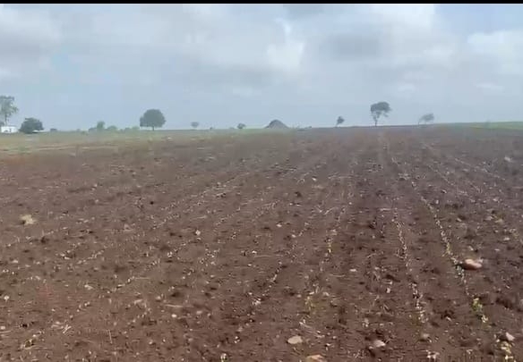 Black Soil Agricultural Land