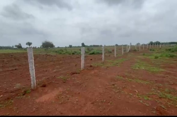 40 Acre Red Soil Total Fenced Land