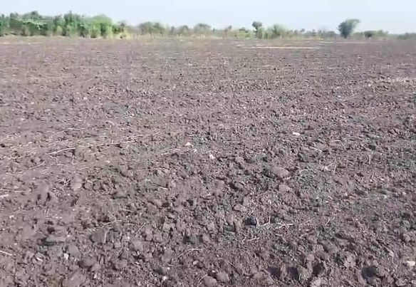 5 Acres Black Soil