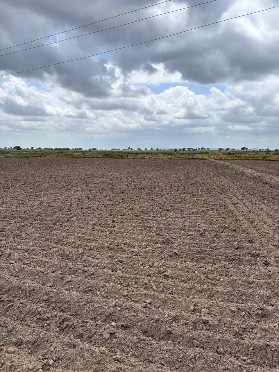 54 Acres Black Soil Land