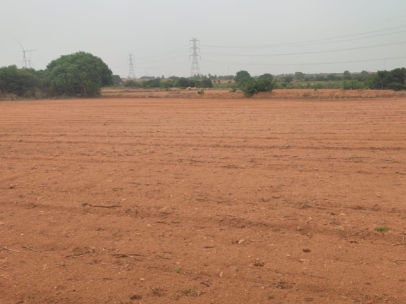 10 Acres Red Soil Agricultural Land for Sale