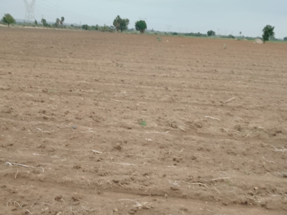 20.50 Acres Mixed Soil Land