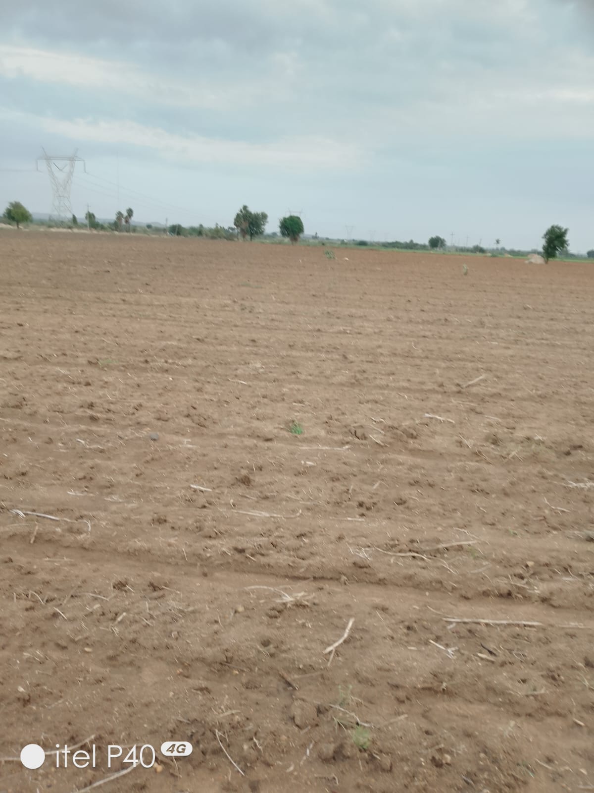 20.50 Acres Mixed Soil Land