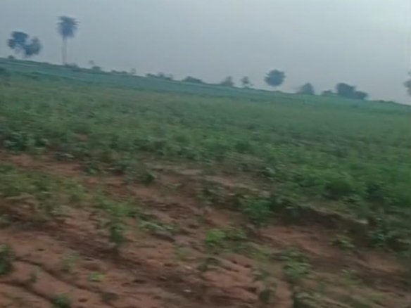 1 Acres 20 Guntas Red Soil Agri Land
