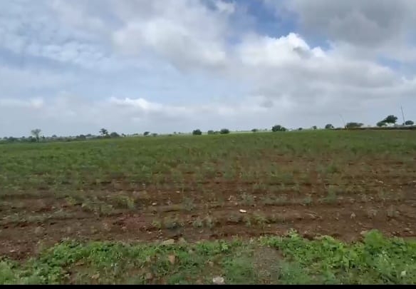 4 Acres Black Soil Agricultural Land