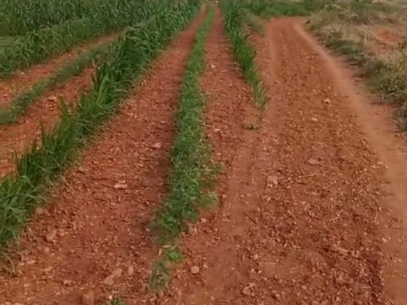 6 Acres Red Soil Land