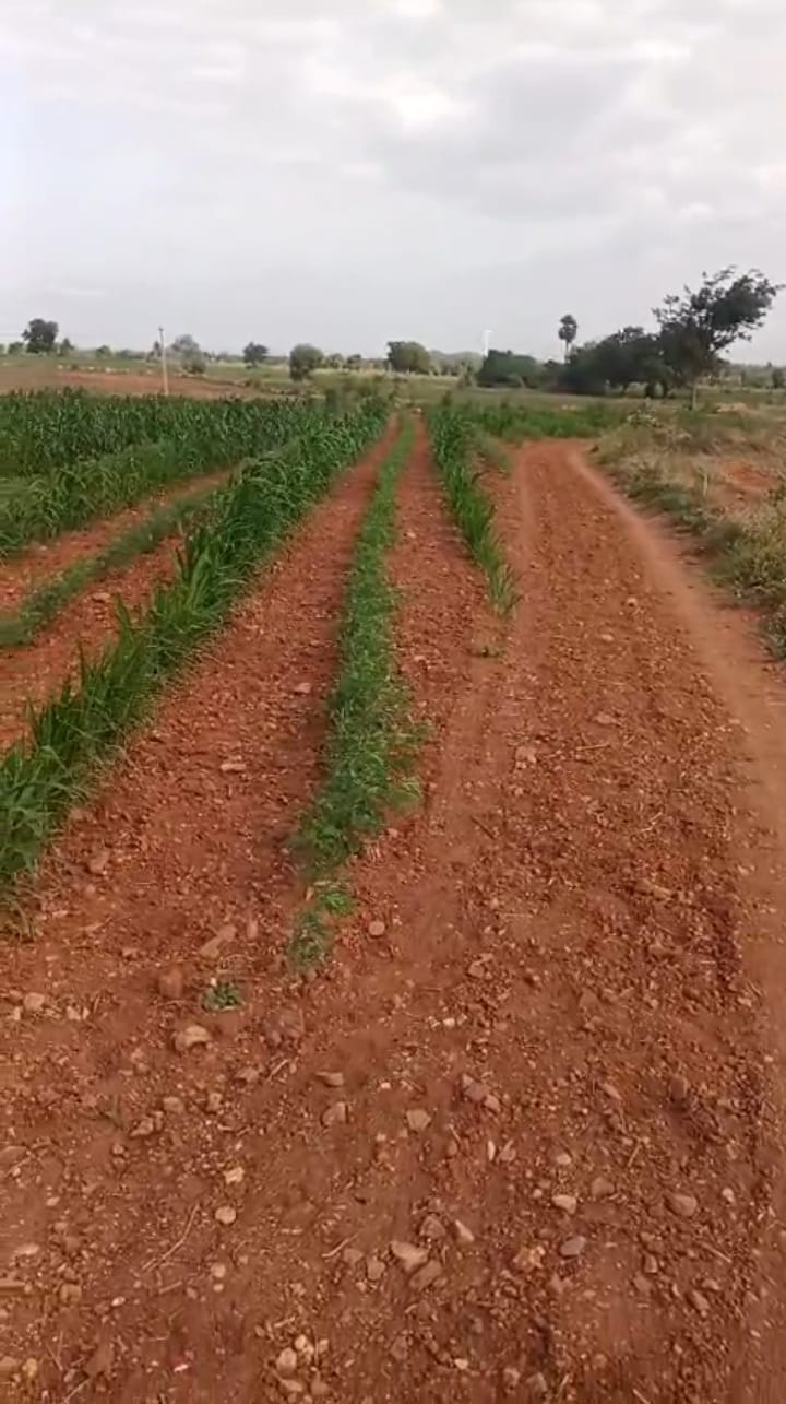 6 Acres Red Soil Land