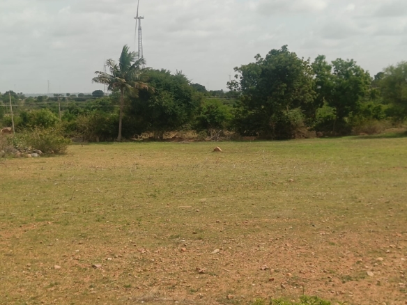 BT Road Attached Red Soil Land