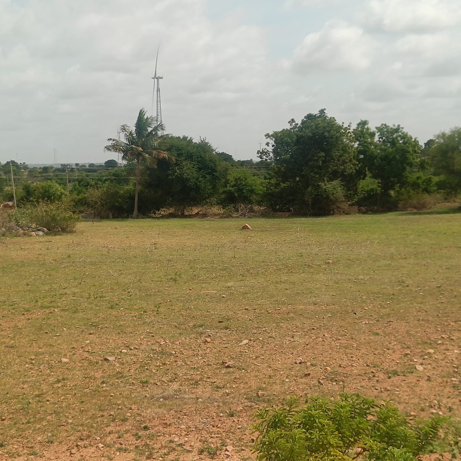 BT Road Attached Red Soil Land