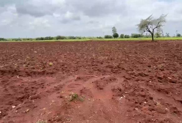 3 Acres 15 Guntas Red Soil Land