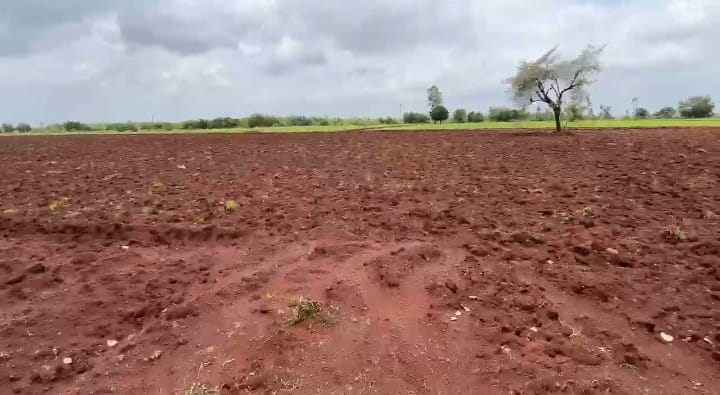 3 Acres 15 Guntas Red Soil Land