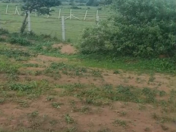 2 Acres Red Soil Land