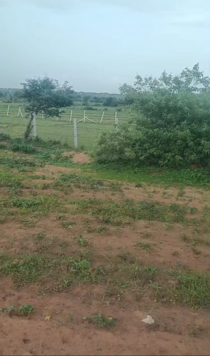2 Acres Red Soil Land