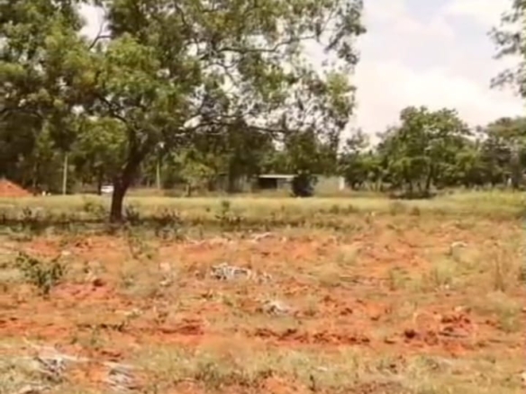 1.22 Gunta Redsoil land