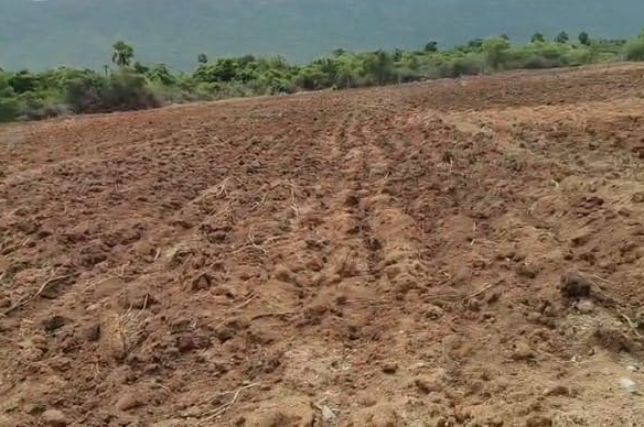 Red Soil Agricultural Land